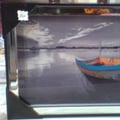 Photo0080