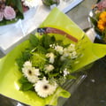 Photo0515