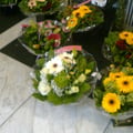 Photo0516