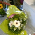 Photo0517