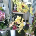 Photo0521