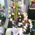 Photo0522