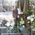 Photo0525