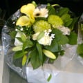 Photo0565
