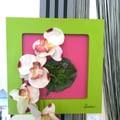 Photo0566