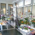 Photo0583