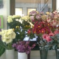 Photo0633