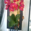 Photo0636