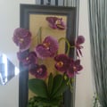 Photo0637
