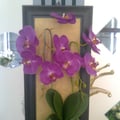Photo0638
